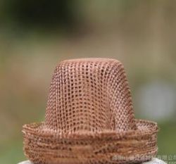 帽式草莓SOLO视频下载网都有哪些用途